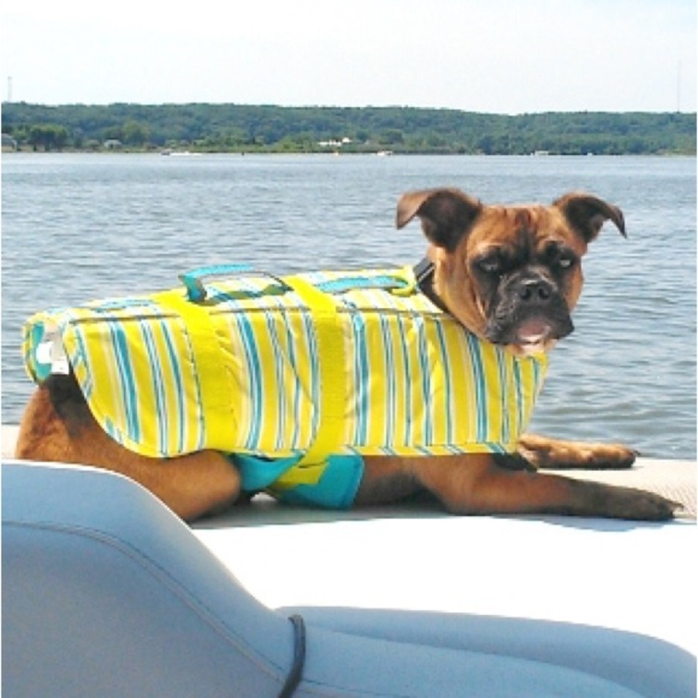 Martha Stewart Pets Striped Dog Lifejacket - Blue and Yellow dog swim